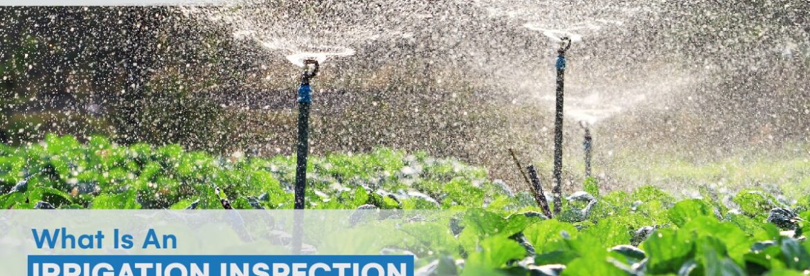irrigation inspection
