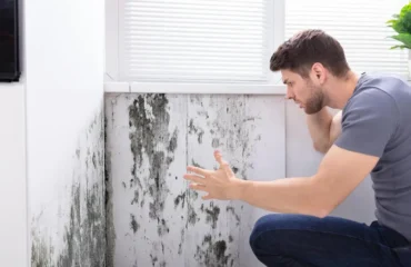 mold and indoor air quality​