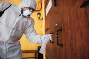 Termite Inspection