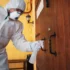 Termite Inspection