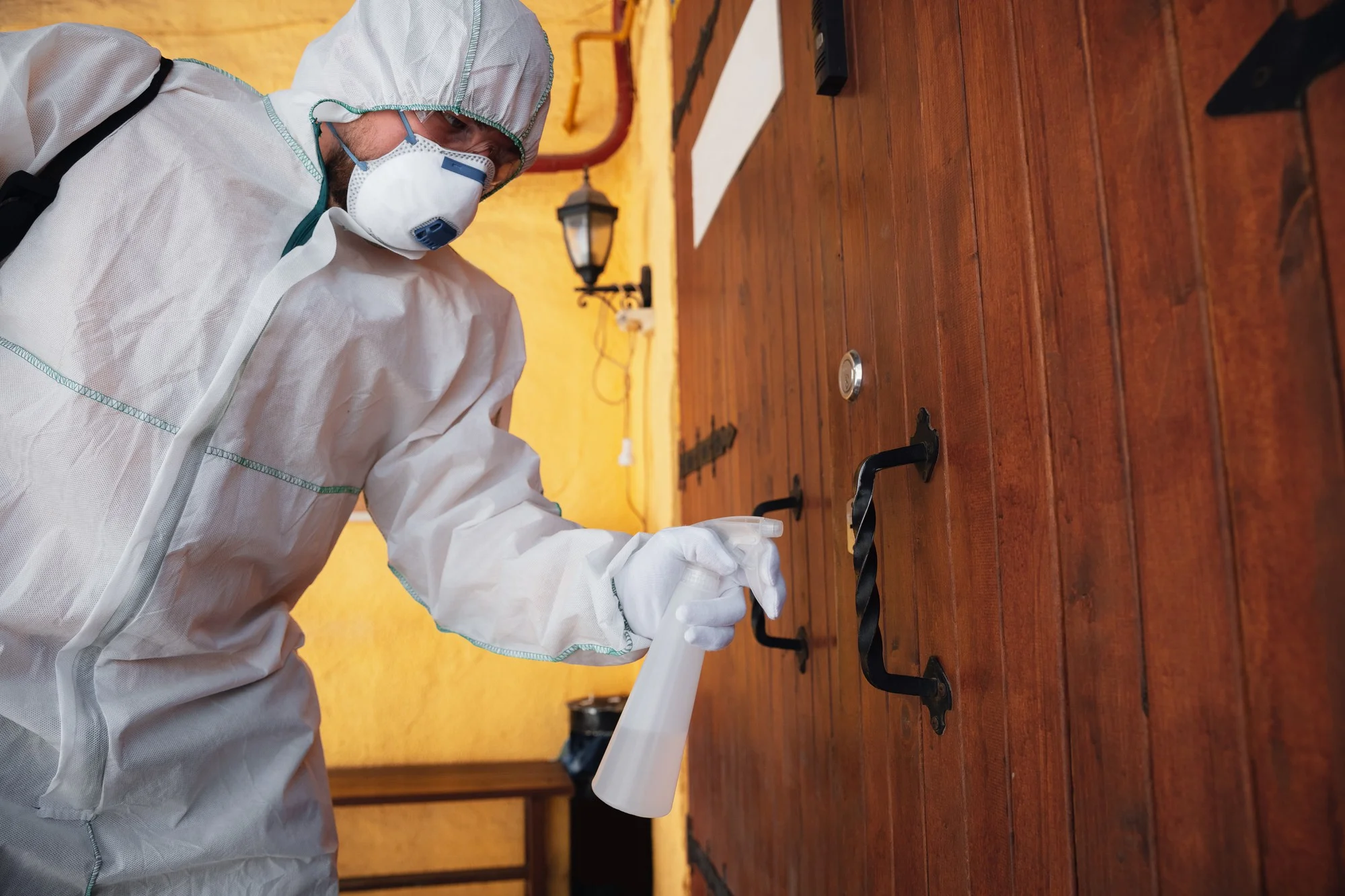 Termite Inspection