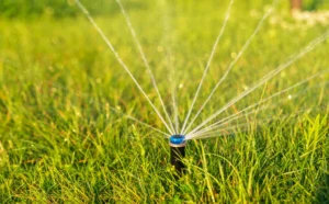sprinkler system