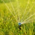 sprinkler system