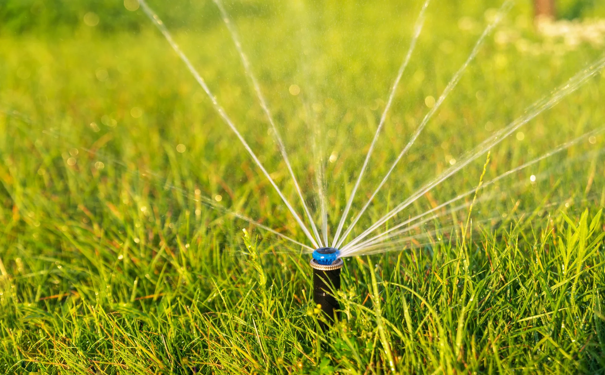 sprinkler system