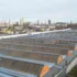 Commercial roof longevity